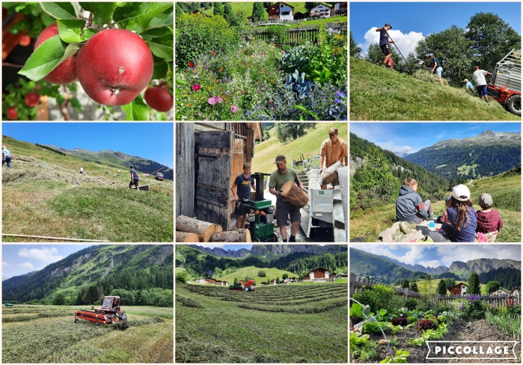 Garten und Feld